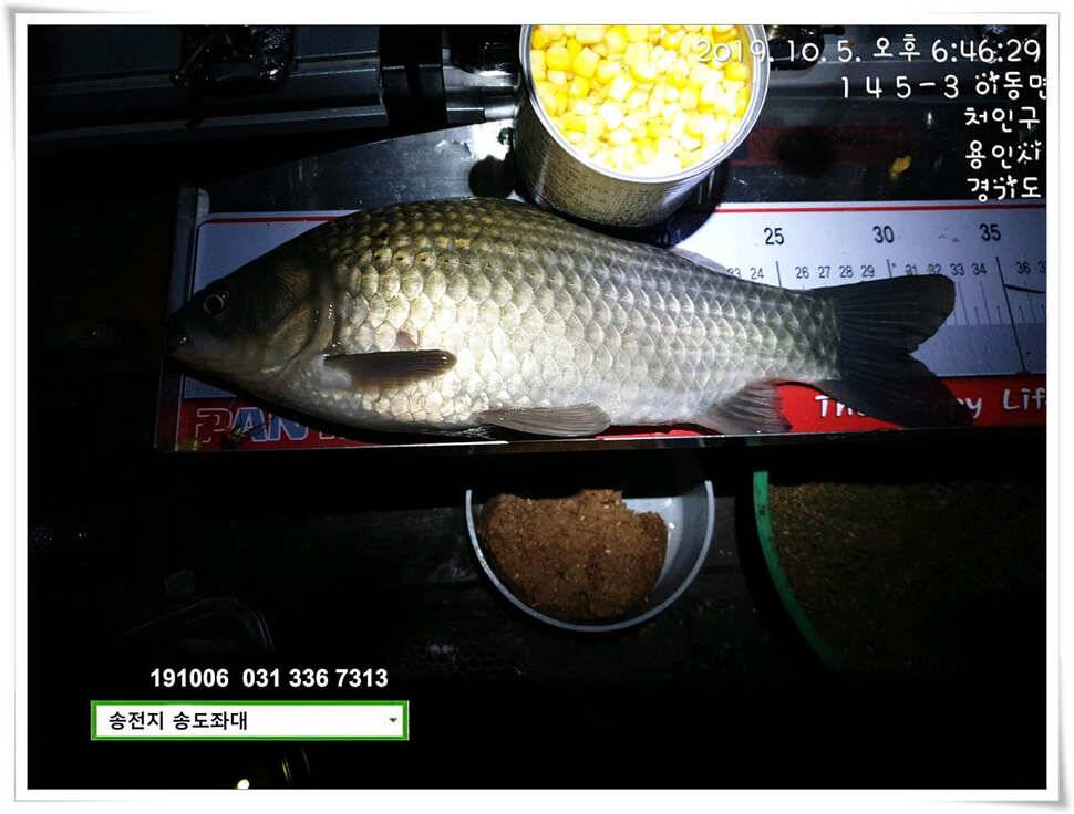태풍 후 안정세 (유료터정보 - 유료터점주조황)