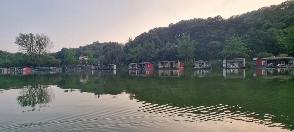 한가위 연휴 꾸준한 조황 힐링 수곡낚시터 조황 고른편이며 붕어방류 이어집니다 (유료터정보 - 유료터점주조황)