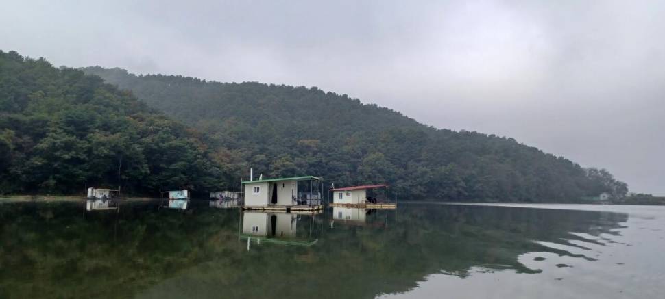 어우실지 (유료터정보 - 유료터점주조황)