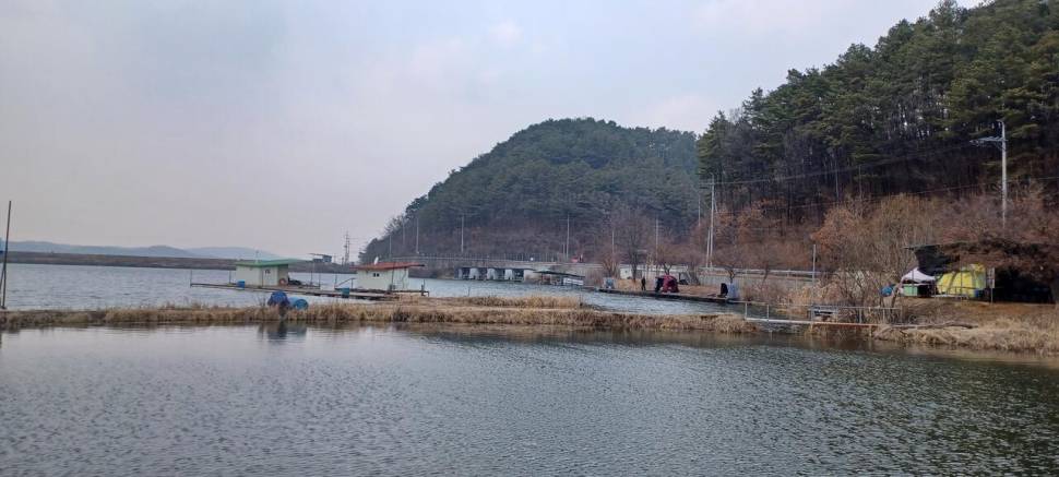 어우실지 아직은 마릿수 입니다 (유료터정보 - 유료터점주조황)