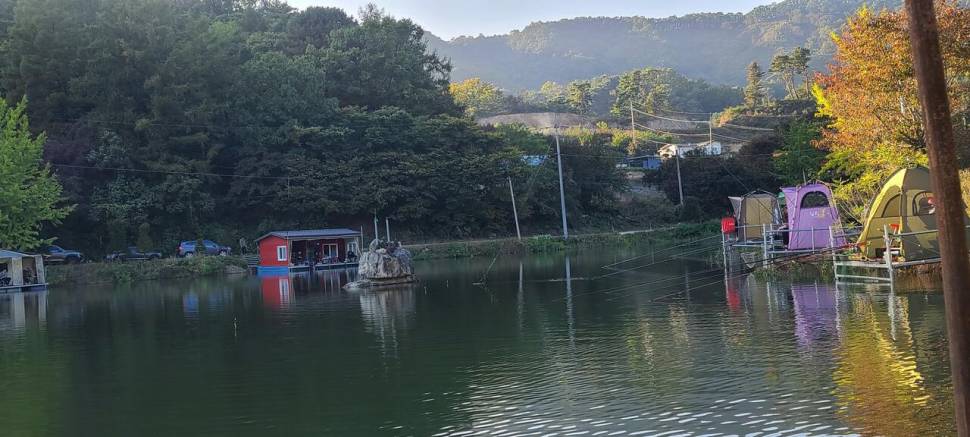 주말 토일요일 양평 수곡낚시터 대물 5짜붕어 포함 조황 입니다 (유료터정보 - 유료터점주조황)