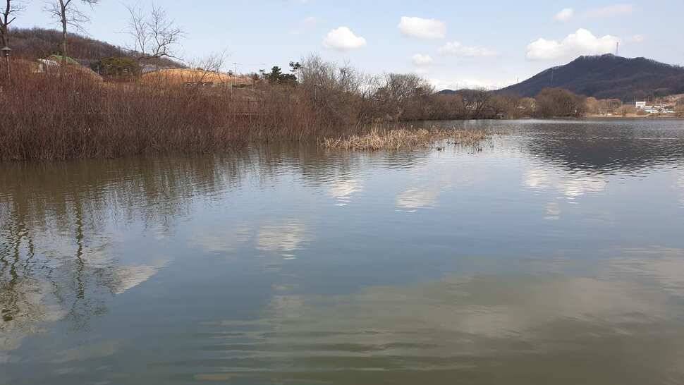 아산 명품 월랑낚시터 3월 첫번째 조황이야기입니다 (유료터정보 - 유료터점주조황)