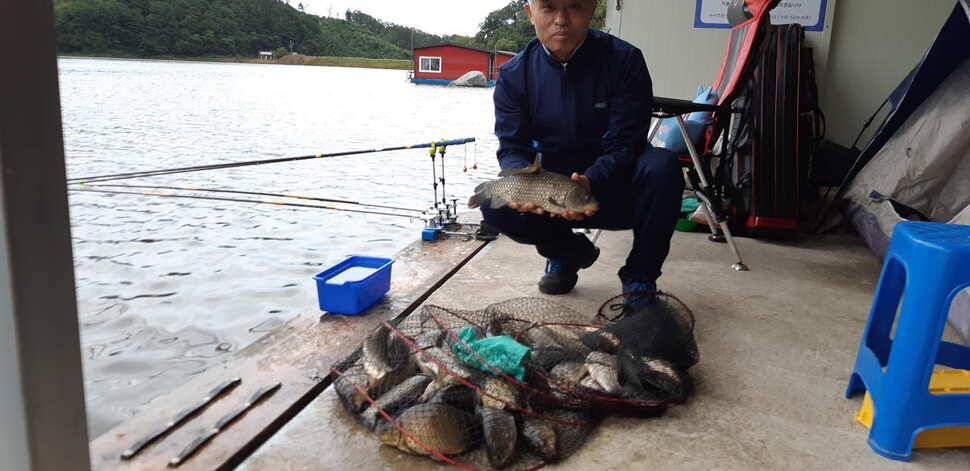 힐링 수곡낚시터 주말금요일 큰편차없이 고른 조황이 나옵니다 (유료터정보 - 유료터점주조황)
