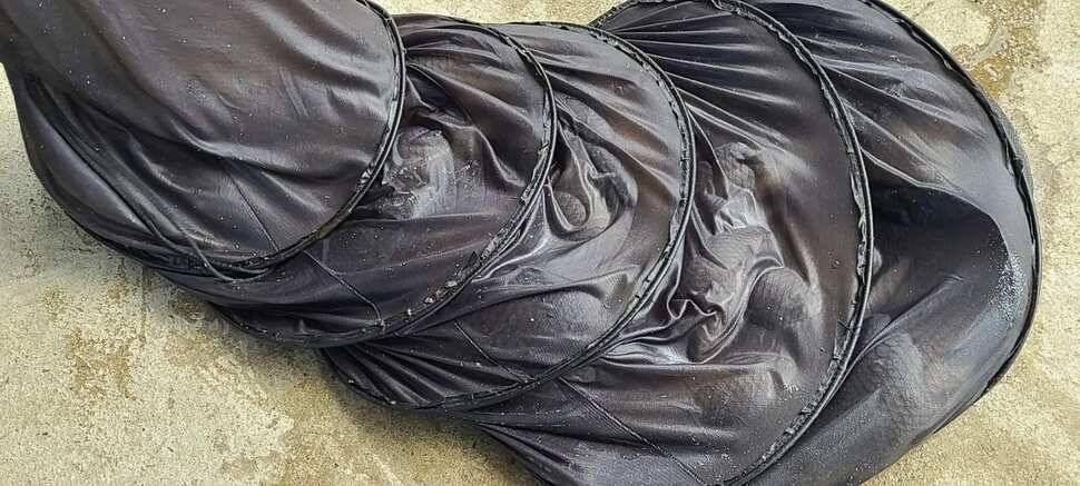 양평 수곡낚시터 6월 첫날 100수포함 고른 조황이 나와주었네요 (유료터정보 - 유료터점주조황)