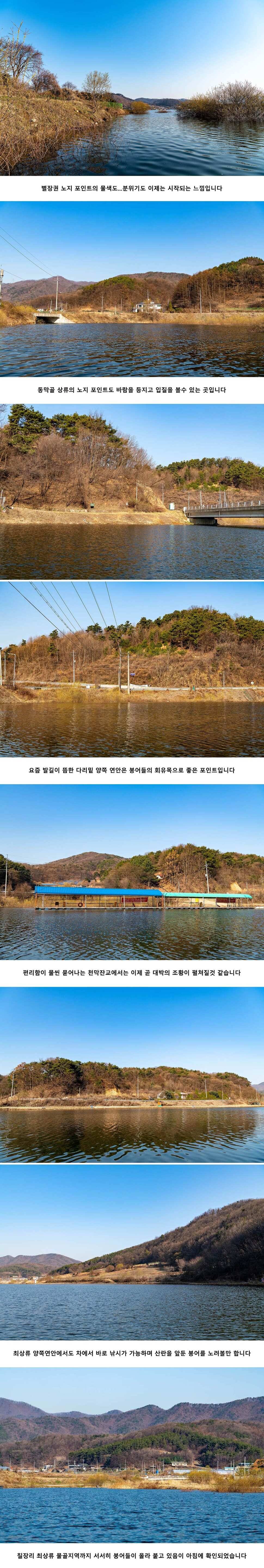 안성 두메낚시터 4월 3일 조황정보 (유료터정보 - 유료터점주조황)
