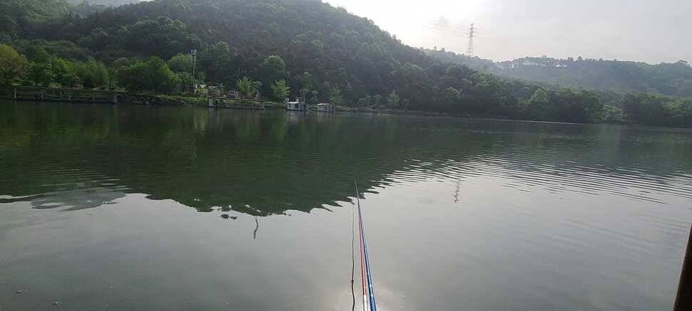 힐링 수곡낚시터 주초에도 고르게 조황이 나오며 오늘도 붕어방류 진행합니다 (유료터정보 - 유료터점주조황)