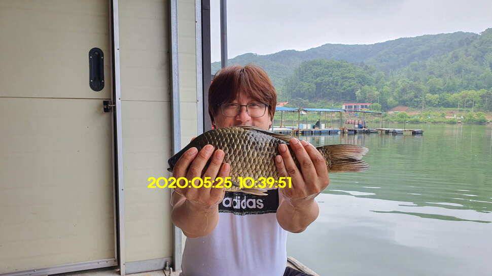 신원낚시터 6월10일 토종대물 덩어리들 사진입니다 (유료터정보 - 유료터점주조황)
