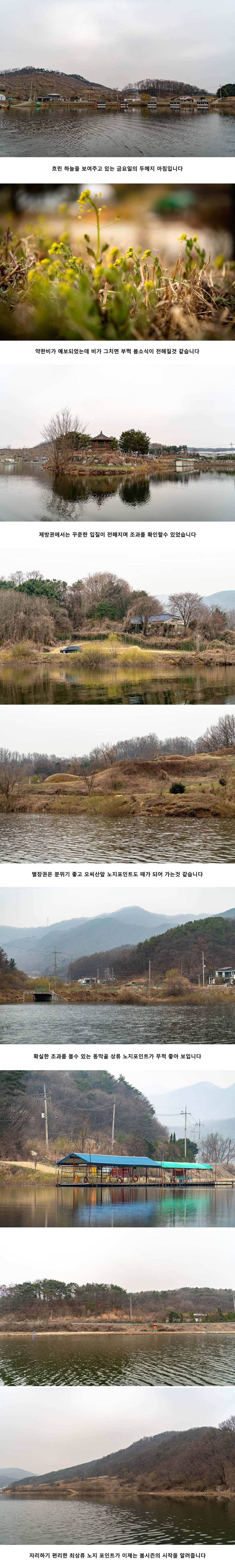 안성 두메낚시터 4월 5일 조황정보 (유료터정보 - 유료터점주조황)