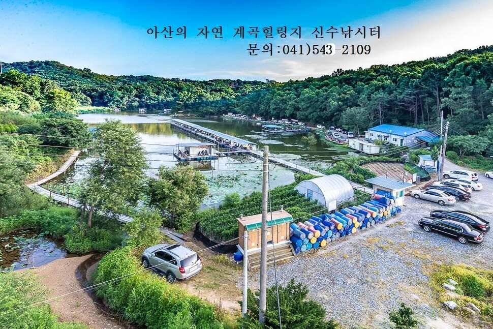 아산신수지 11월 둘째 주말 화보입니다 (유료터정보 - 유료터점주조황)