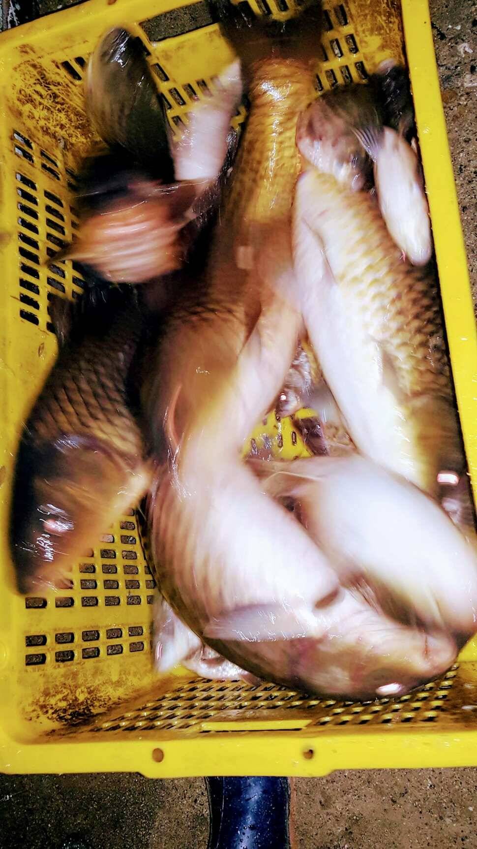 색다른 운동 (유료터정보 - 유료터점주조황)