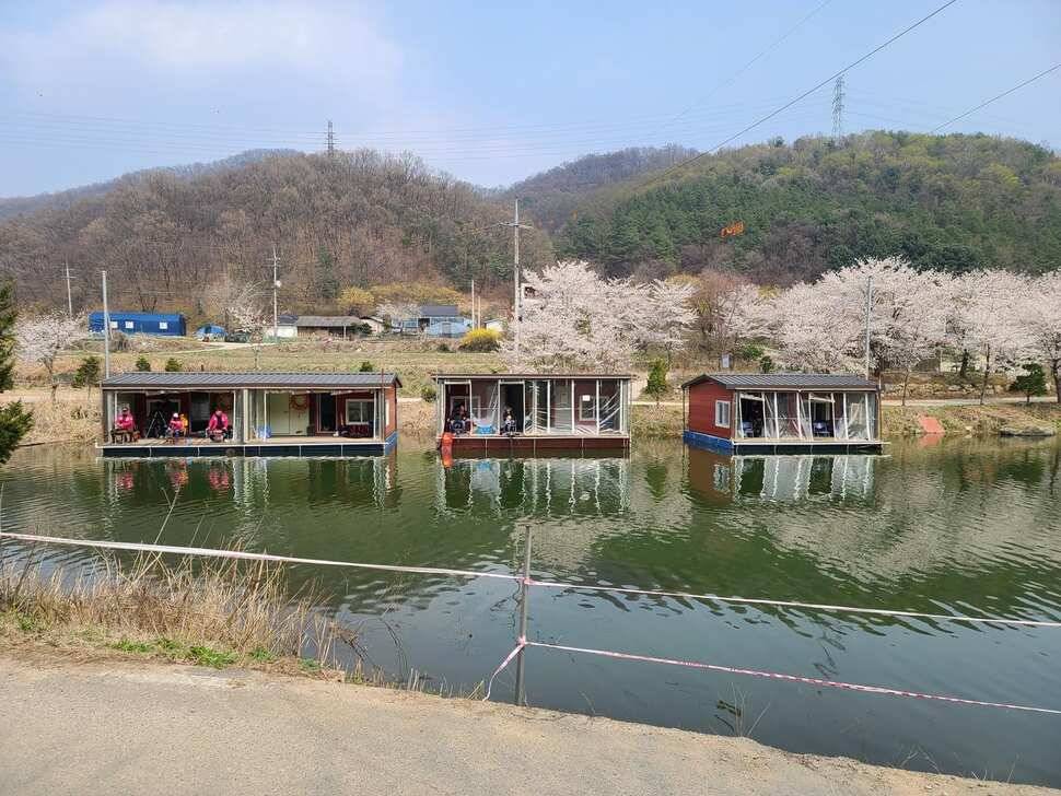 양평 힐링 수곡낚시터 자연산 토종붕어 대량방류 및 주중조황 안내 (유료터정보 - 유료터점주조황)
