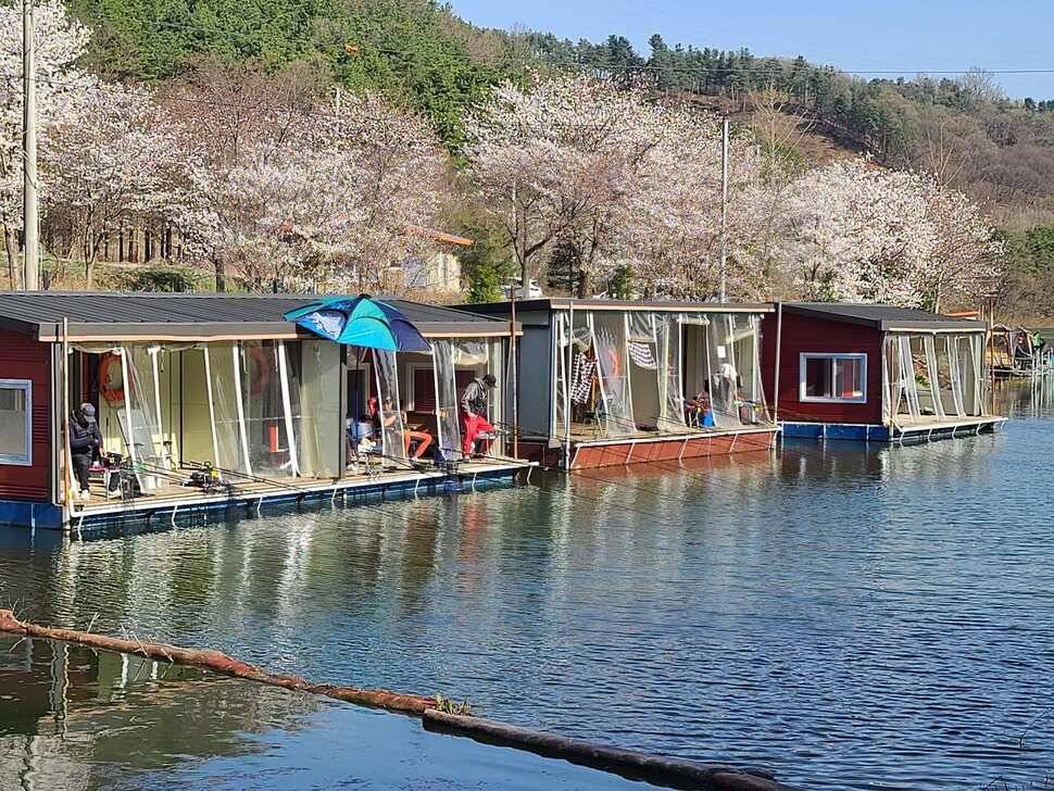 양평 수곡낚시터 4월 첫주 주말조황 및 수상좌대 할인요금 붕어방류 안내 (유료터정보 - 유료터점주조황)