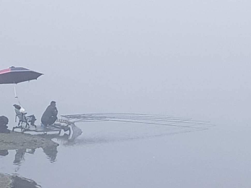 아름다운장계지에서 (유료터정보 - 유료터점주조황)