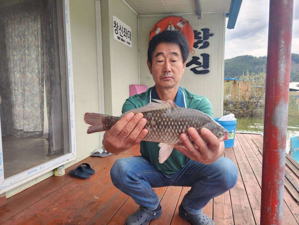 송전지 창신좌대 조황정보 (유료터정보 - 유료터점주조황)