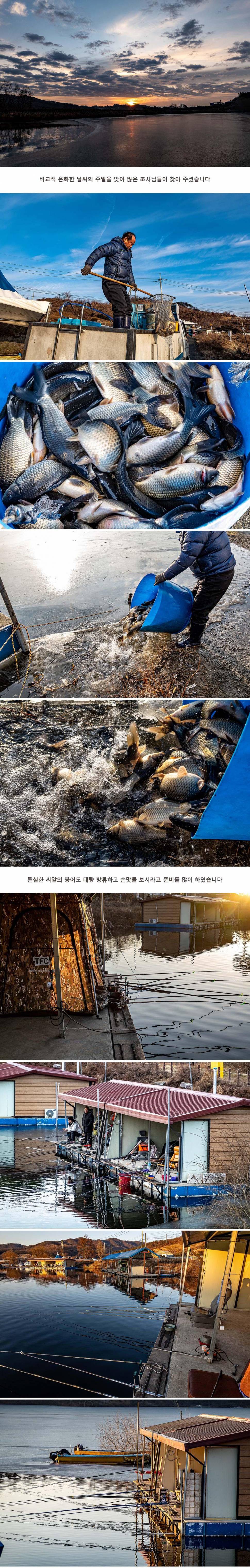 안성 두메낚시터 1월 24일 조황정보 (유료터정보 - 유료터점주조황)