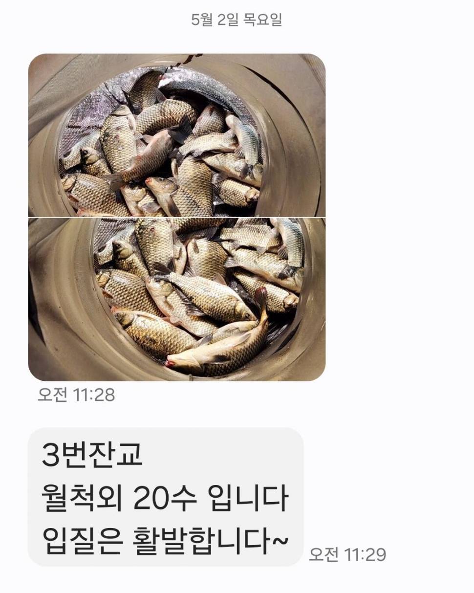 2024년 05월 첫째주 조황정보 용담낚시터사암지 4짜 4마리 (유료터정보 - 유료터점주조황)