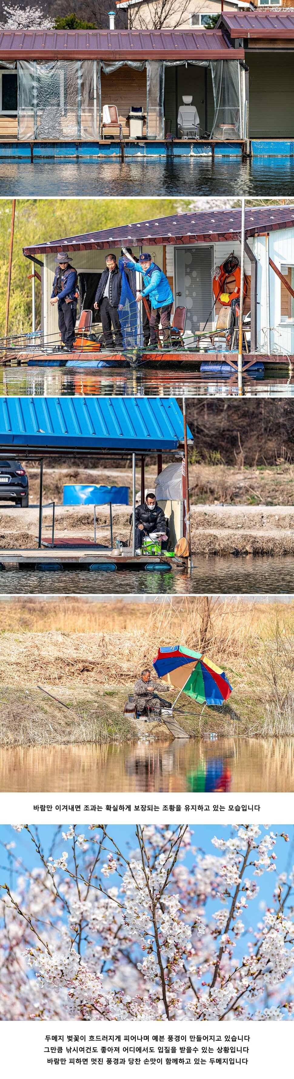 안성 두메낚시터 4월 9일 조황정보 (유료터정보 - 유료터점주조황)