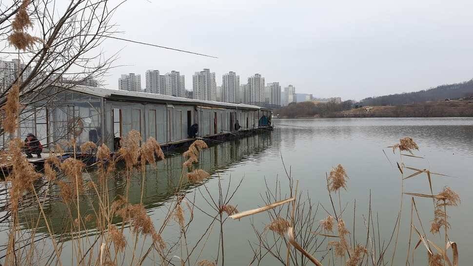 아산 명품 월랑낚시터 2월 첫번째 조황이야기입니다 (유료터정보 - 유료터점주조황)