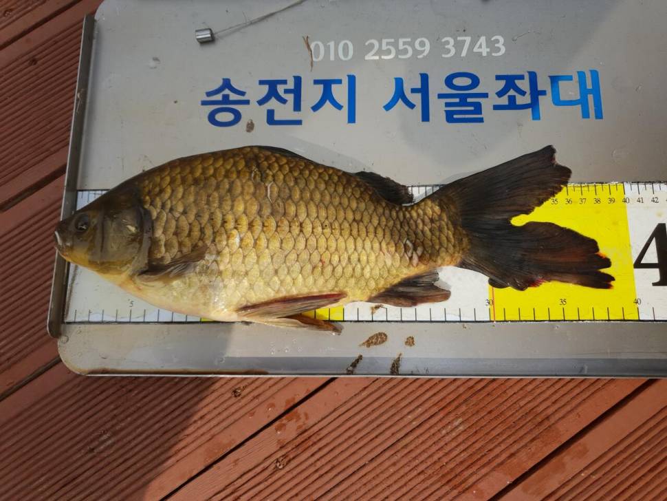 송전지서울좌대9월15일조뢍 (유료터정보 - 유료터점주조황)
