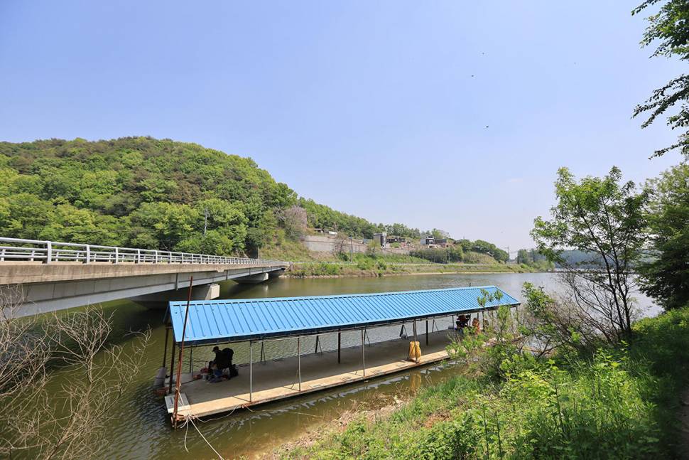 안성 두메낚시터 5월13일 조황안내 (유료터정보 - 유료터점주조황)