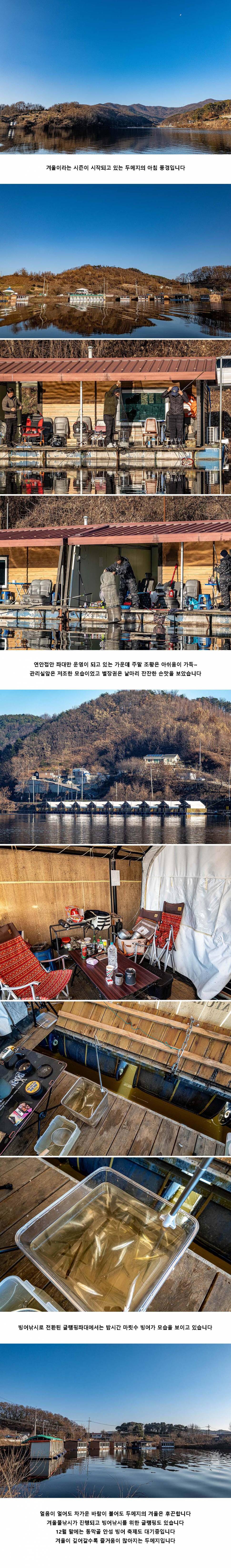 안성 두메낚시터 12월 3일 조황정보 (유료터정보 - 유료터점주조황)