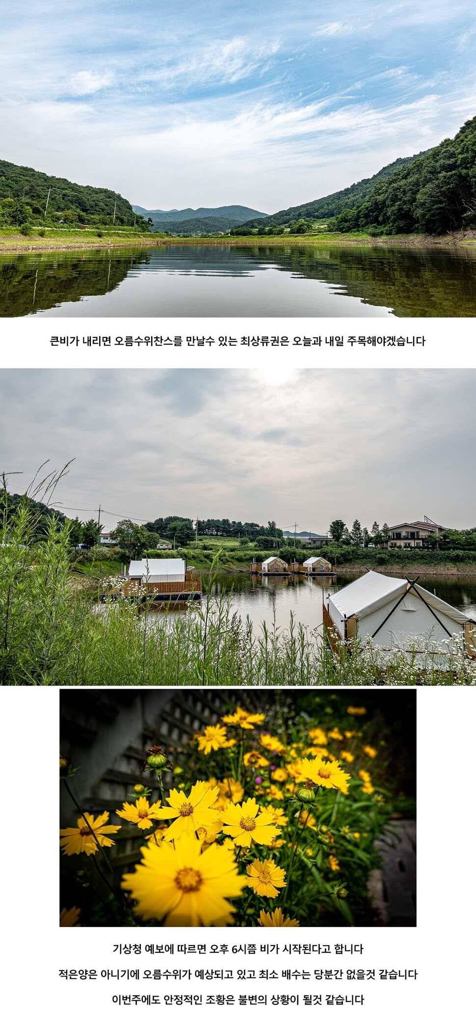 안성 두메낚시터 6월 29일 조황정보 (유료터정보 - 유료터점주조황)