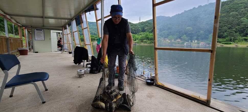 여름 피서 수곡낚시터 6월네째주 화요일 조황 안내 (유료터정보 - 유료터점주조황)