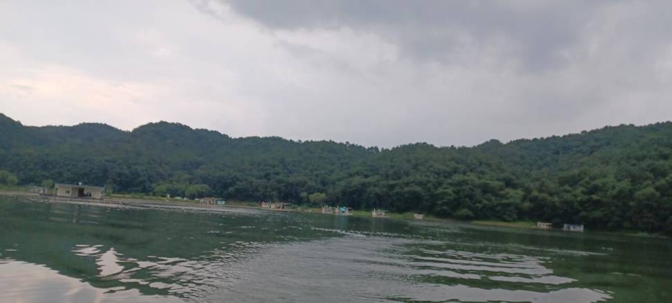 어우실지 주말만석에 감사합니다 하지만 마릿수였네요 봉순이도 휴기중ᆢ (유료터정보 - 유료터점주조황)