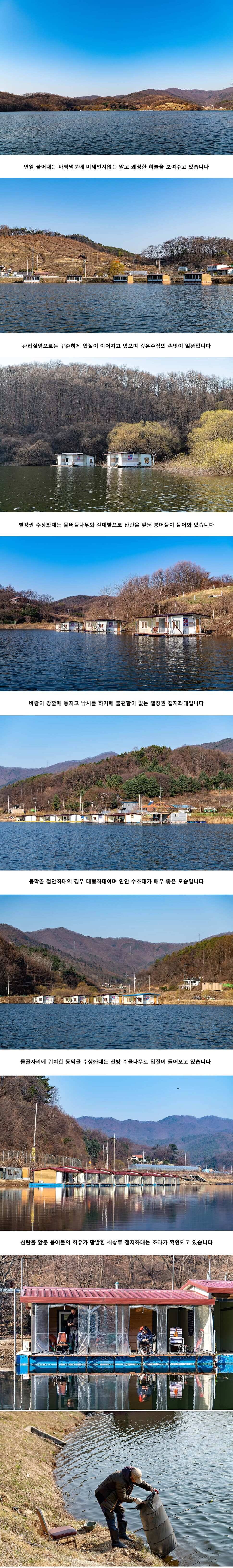 안성 두메낚시터 4월 4일 조황정보 (유료터정보 - 유료터점주조황)
