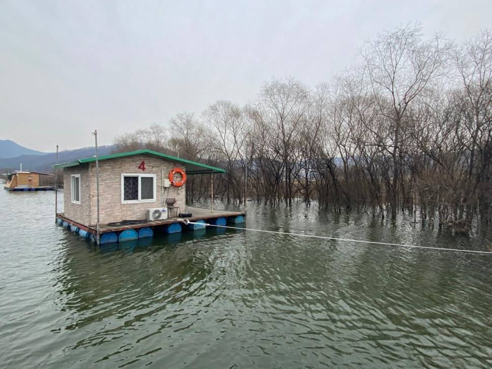 고삼지 상류권 붕어의 움직임 포착 (유료터정보 - 유료터점주조황)