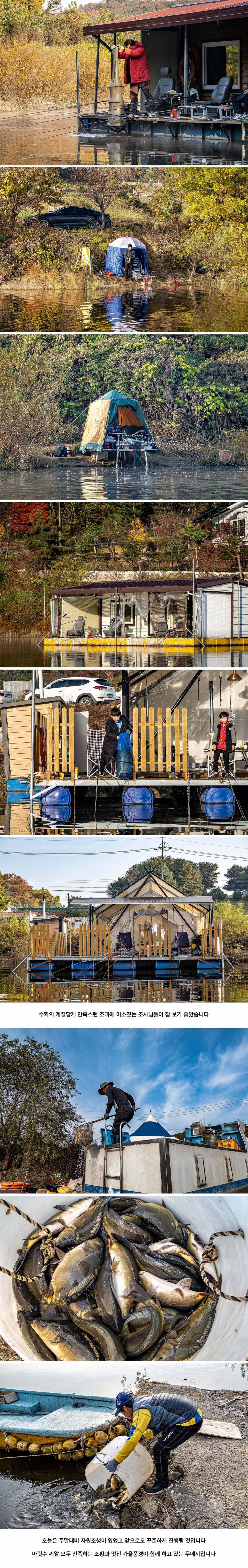 안성 두메낚시터 10월 31일 조황정보 (유료터정보 - 유료터점주조황)