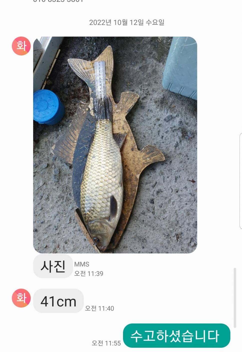 2022년 10월 둘째주 조황정보 용담낚시터사암지 (유료터정보 - 유료터점주조황)