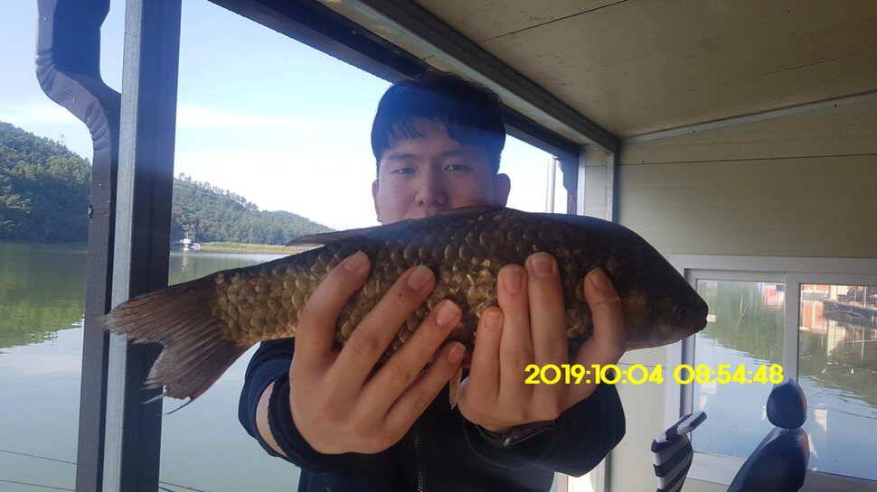 용인 신원낚시터 토종대물48짜리 구경하고 가시겠습니다 (유료터정보 - 유료터점주조황)