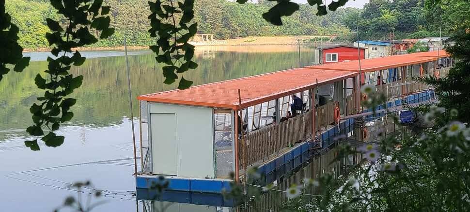 수곡낚시터 주초출발 조황 좋습니다 금일 방류합니다 (유료터정보 - 유료터점주조황)