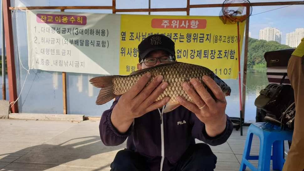 아산 명품 월랑낚시터 8월 마지막 조황이야기입니다 (유료터정보 - 유료터점주조황)