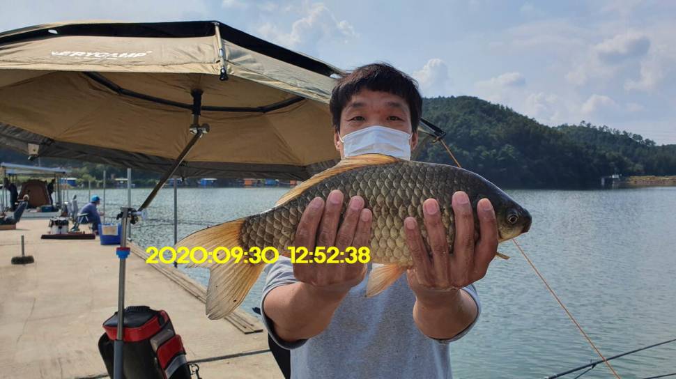 신원낚시터10월7일 연휴에도 토종4짜와 덩어리는 계속 나와 줍니다 (유료터정보 - 유료터점주조황)