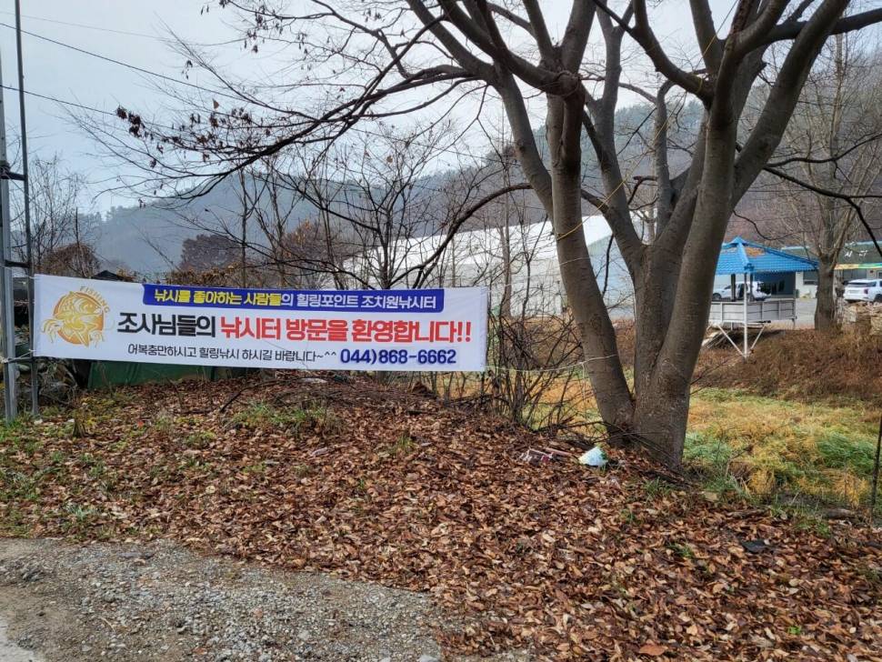 조치원낚시터 1월3일 (유료터정보 - 유료터점주조황)
