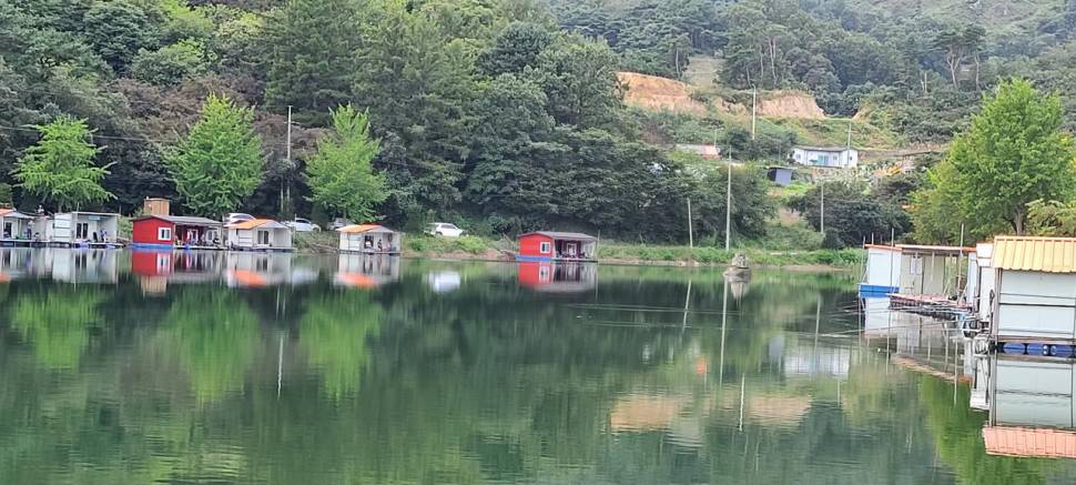 가을 붕어낚시 수곡낚시터 주초 월화요일 고르 조황 입니다 (유료터정보 - 유료터점주조황)