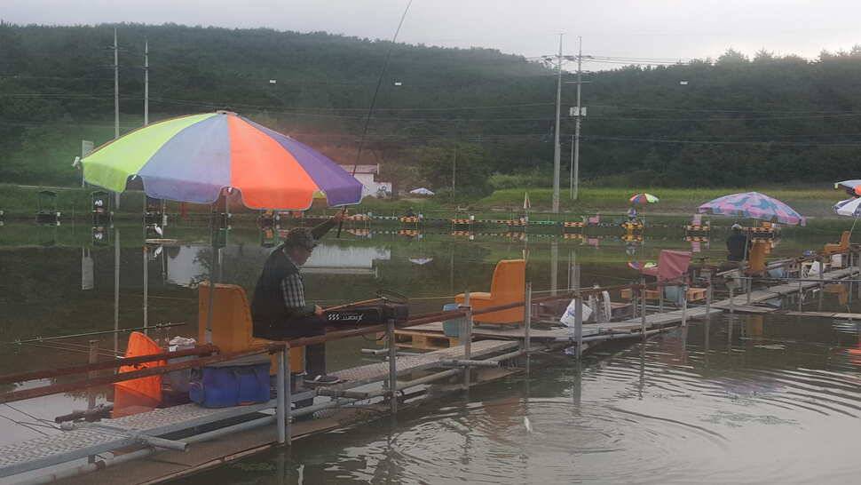 경주 동산낚시터붕어 전용 잡이터 지난주 조황 (유료터정보 - 유료터점주조황)