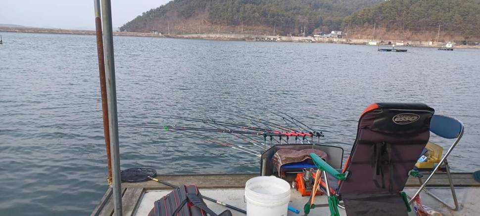 어우실지 아직은 마릿수 입니다 (유료터정보 - 유료터점주조황)