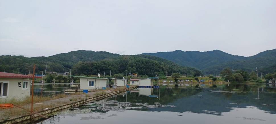 추석명절 잘보내세요 (유료터정보 - 유료터점주조황)