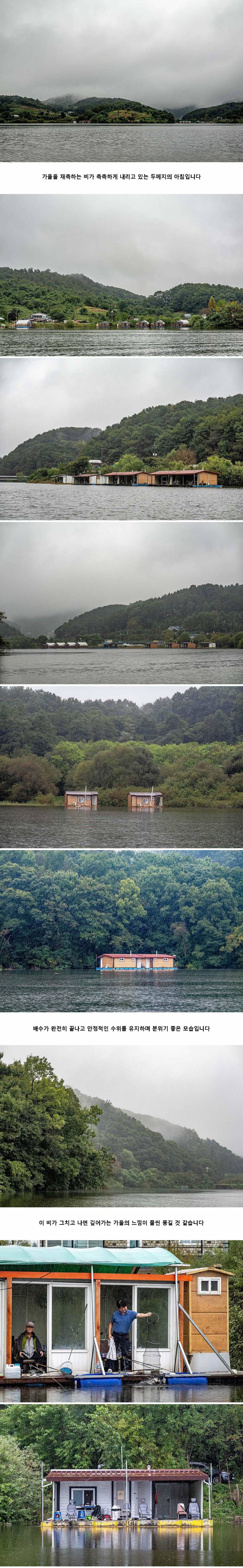 안성 두메낚시터 9월 26일 조황정보 (유료터정보 - 유료터점주조황)