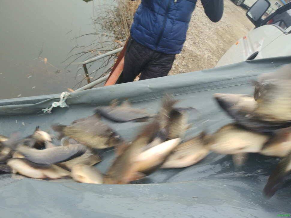 겨울붕어낚시 양평 수곡낚시터 고르게 붕어들은 나와주네요 (유료터정보 - 유료터점주조황)