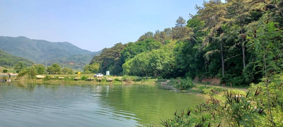 어우실지 나오면 월척에 때깔좋은어우실 입니다 오염이없는 저수지9 (유료터정보 - 유료터점주조황)