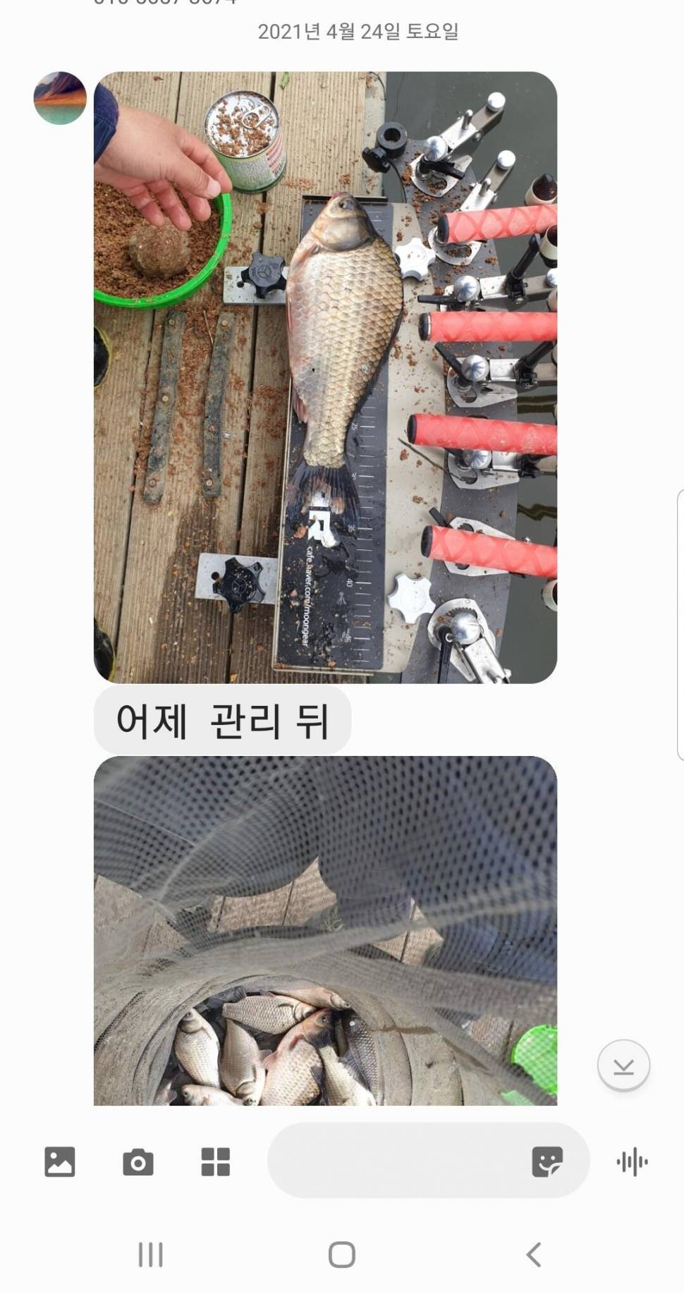 2021년 4월 마지막주 조황정보 용인 용담낚시터사암지 (유료터정보 - 유료터점주조황)