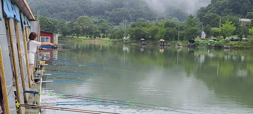 양평 힐링 붕어낚시 수곡낚시터 주말 좋은 조황 포함 고른편 이었습니다 (유료터정보 - 유료터점주조황)