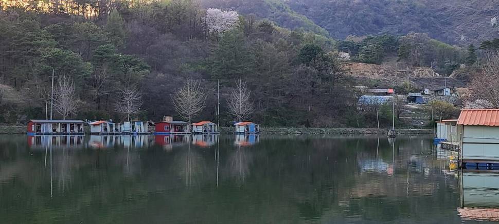 멋진풍광속 힐링 수곡낚시터 월화 주초 조황 및 붕어 방류 안내 (유료터정보 - 유료터점주조황)