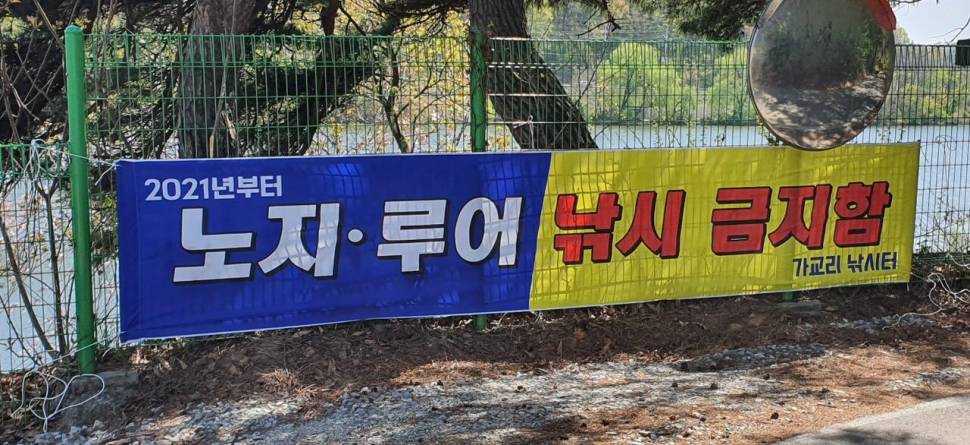 당진 가교리 낚시터 4월 19일 조황입니다 (유료터정보 - 유료터점주조황)