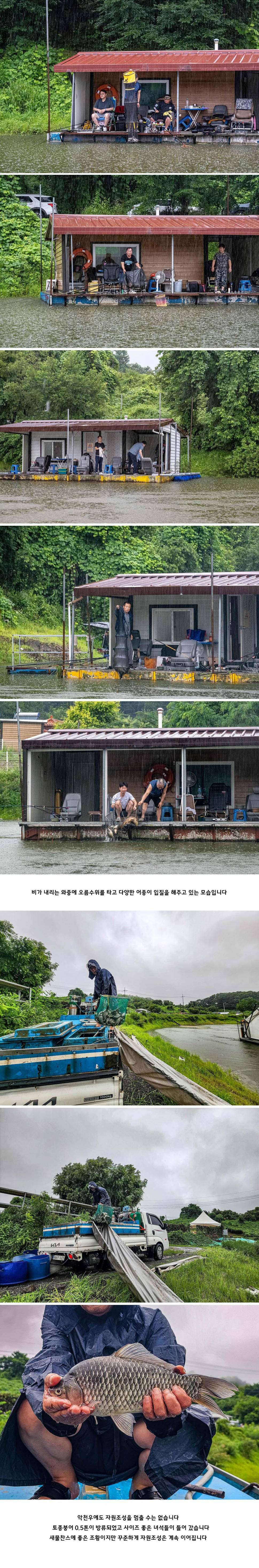 안성 두메낚시터 7월 19일 조황정보 (유료터정보 - 유료터점주조황)