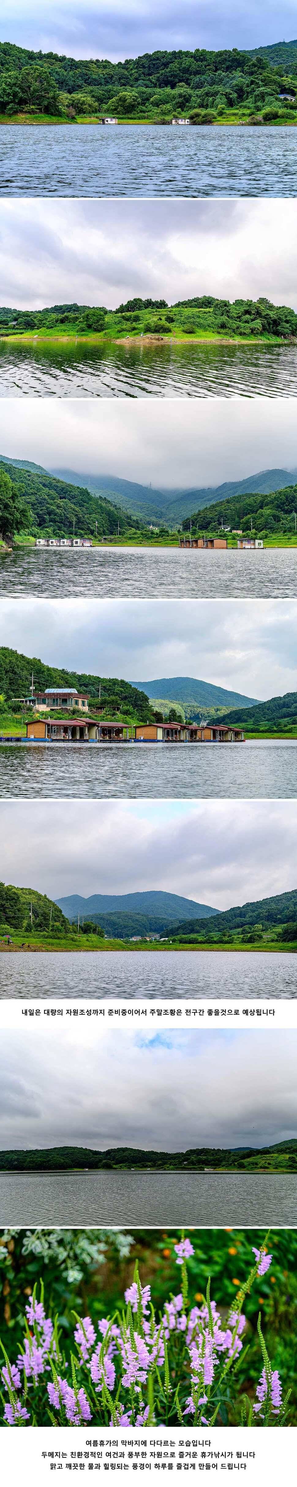 안성 두메낚시터 8월16일 조황안내 (유료터정보 - 유료터점주조황)